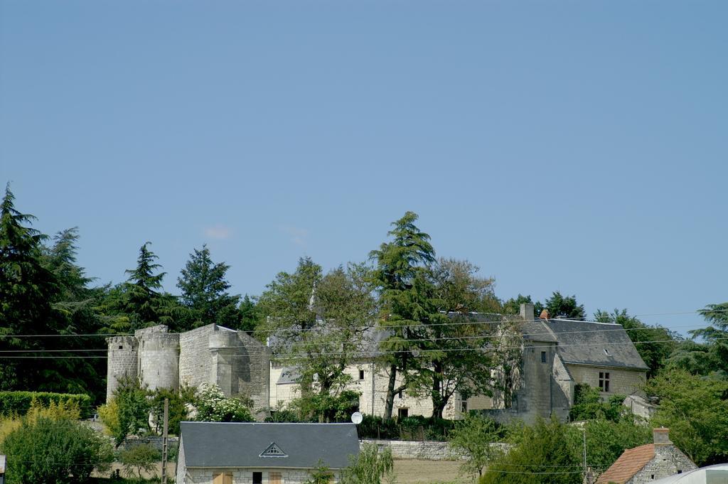 Bed and Breakfast Château de la Roche Martel à Roiffé Extérieur photo